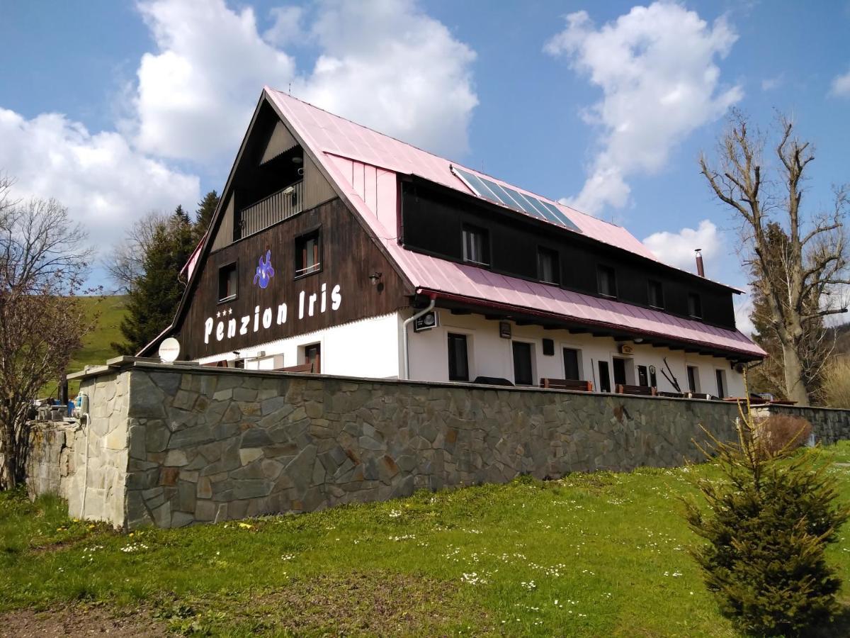 Penzion Iris Krkonose Horni Marsov Ngoại thất bức ảnh